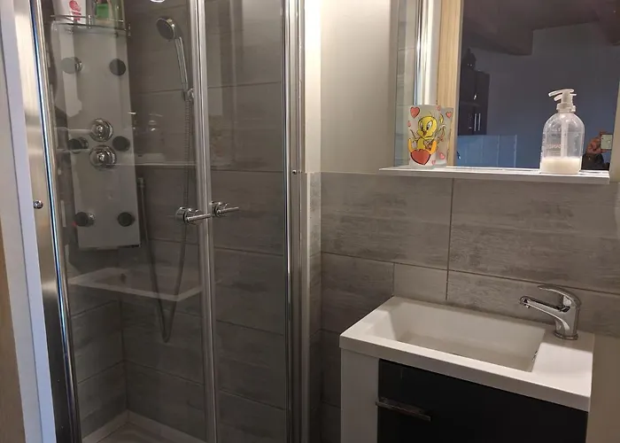 Lejlighed Etablissement Roussel *